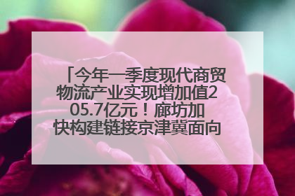今年一季度现代商贸物流产业实现增加值205.7亿元！廊坊加快构建链接京津冀面向全世界的物流通道