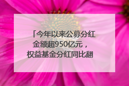 今年以来公募分红金额超950亿元，权益基金分红同比翻倍｜招财猫