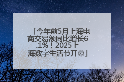 今年前5月上海电商交易额同比增长6.1%！2025上海数字生活节开幕