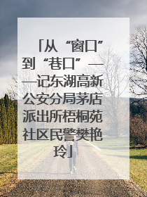 从“窗口”到“巷口”——记东湖高新公安分局茅店派出所梧桐苑社区民警樊艳玲