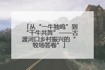 从“一牛独鸣”到“千牛共舞”——古渡河口乡村振兴的“牧场答卷”