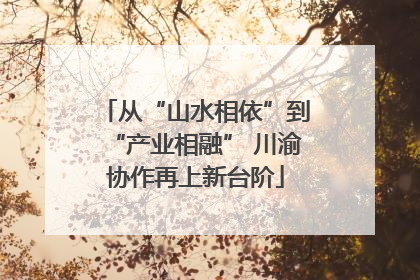 从“山水相依”到“产业相融” 川渝协作再上新台阶