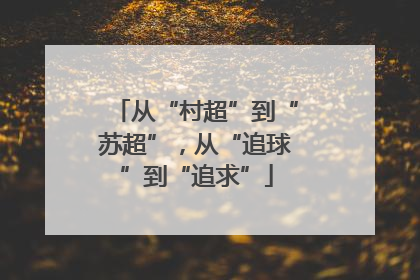 从“村超”到“苏超”，从“追球”到“追求”