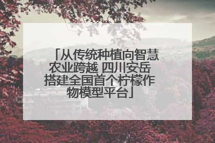 从传统种植向智慧农业跨越 四川安岳搭建全国首个柠檬作物模型平台