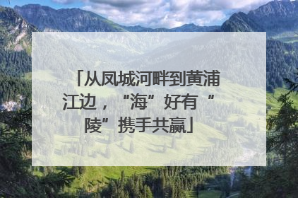 从凤城河畔到黄浦江边，“海”好有“陵”携手共赢