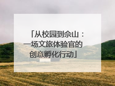 从校园到佘山：一场文旅体验官的创意孵化行动