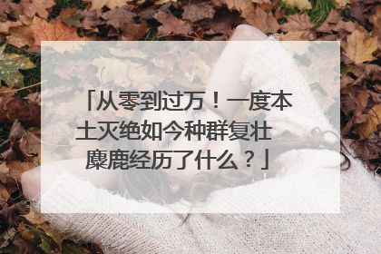 从零到过万！一度本土灭绝如今种群复壮 麋鹿经历了什么？