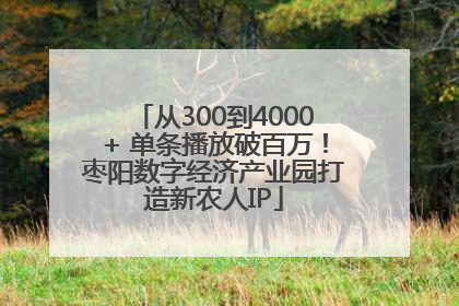 从300到4000+ 单条播放破百万！枣阳数字经济产业园打造新农人IP
