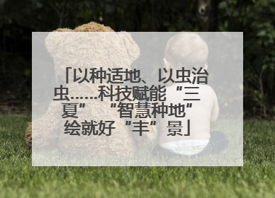 以种适地、以虫治虫……科技赋能“三夏” “智慧种地”绘就好“丰”景