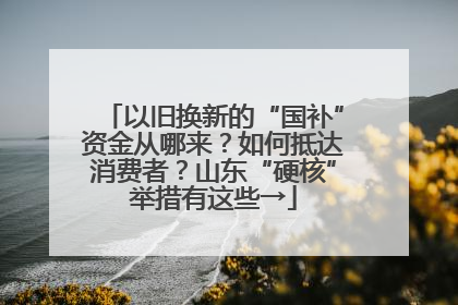 以旧换新的“国补”资金从哪来？如何抵达消费者？山东“硬核”举措有这些→