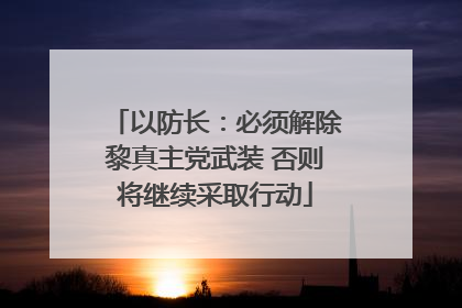 以防长：必须解除黎真主党武装 否则将继续采取行动