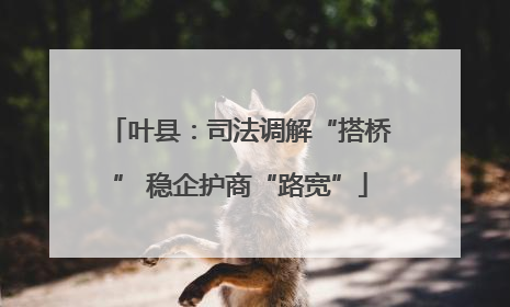 叶县：司法调解“搭桥” 稳企护商“路宽”