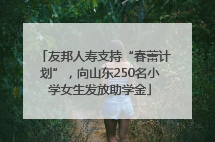 友邦人寿支持“春蕾计划”，向山东250名小学女生发放助学金