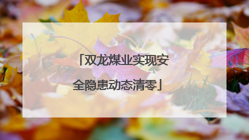 双龙煤业实现安全隐患动态清零
