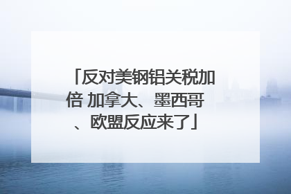 反对美钢铝关税加倍 加拿大、墨西哥、欧盟反应来了