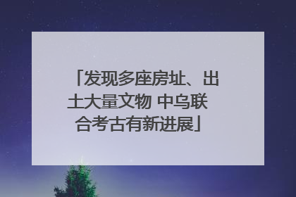 发现多座房址、出土大量文物 中乌联合考古有新进展