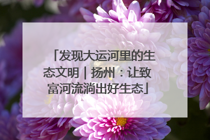 发现大运河里的生态文明｜扬州：让致富河流淌出好生态