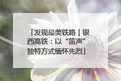 发现最美铁路｜银西高铁：以“笛声”独特方式缅怀先烈