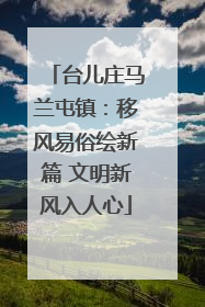 台儿庄马兰屯镇：移风易俗绘新篇 文明新风入人心