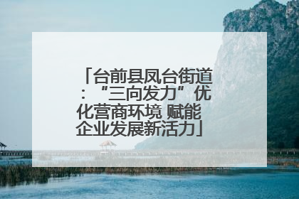 台前县凤台街道：“三向发力”优化营商环境 赋能企业发展新活力