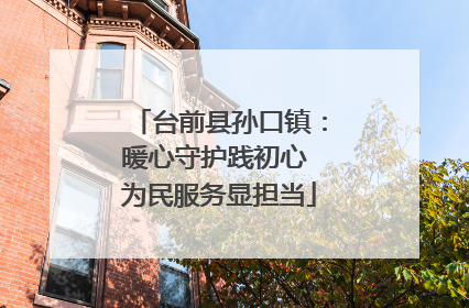 台前县孙口镇：暖心守护践初心 为民服务显担当