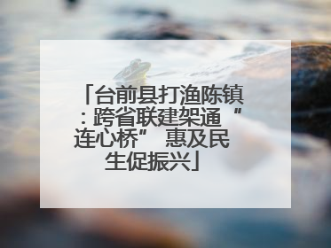 台前县打渔陈镇：跨省联建架通“连心桥” 惠及民生促振兴