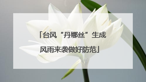台风“丹娜丝”生成 风雨来袭做好防范