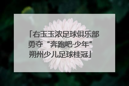 右玉玉浓足球俱乐部勇夺“奔跑吧·少年”朔州少儿足球桂冠