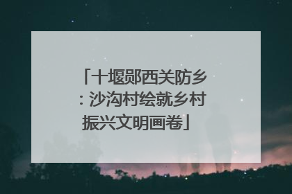 十堰郧西关防乡：沙沟村绘就乡村振兴文明画卷