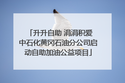 升升自助 涓涓积爱 中石化黄冈石油分公司启动自助加油公益项目