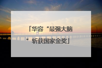华容“最强大脑”斩获国家金奖