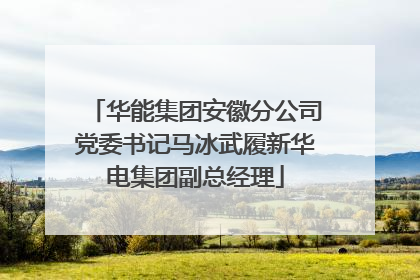 华能集团安徽分公司党委书记马冰武履新华电集团副总经理