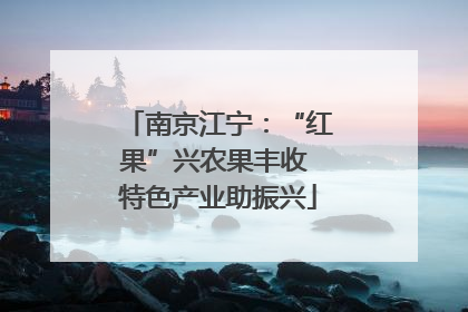 南京江宁：“红果”兴农果丰收 特色产业助振兴