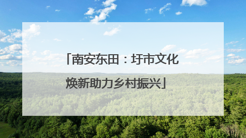 南安东田：圩市文化焕新助力乡村振兴