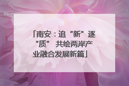 南安：追“新”逐“质” 共绘两岸产业融合发展新篇