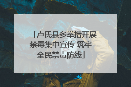 卢氏县多举措开展禁毒集中宣传 筑牢全民禁毒防线