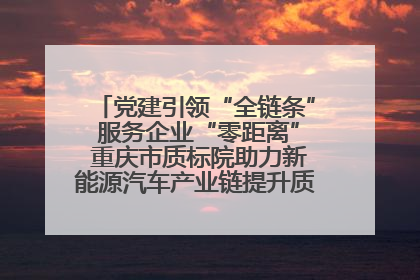 党建引领“全链条” 服务企业“零距离” 重庆市质标院助力新能源汽车产业链提升质量管理水平