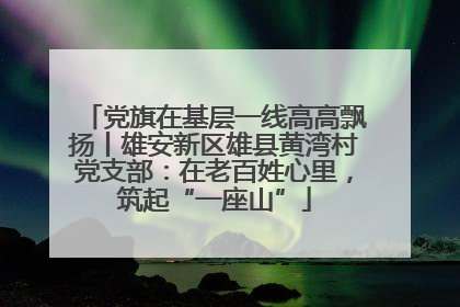 党旗在基层一线高高飘扬丨雄安新区雄县黄湾村党支部：在老百姓心里，筑起“一座山”
