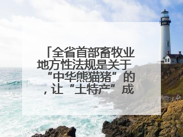 全省首部畜牧业地方性法规是关于“中华熊猫猪”的，让“土特产”成为“新国潮”，让“农产品”升格为“城市IP”