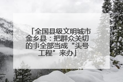 全国县级文明城市金乡县：把群众关切的事全部当成“头号工程”来办