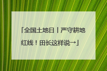全国土地日丨严守耕地红线！田长这样说→