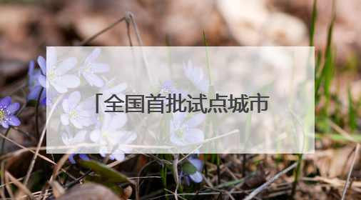全国首批试点城市，福建一地入选