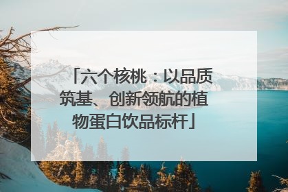 六个核桃：以品质筑基、创新领航的植物蛋白饮品标杆
