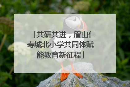 共研共进，眉山仁寿城北小学共同体赋能教育新征程