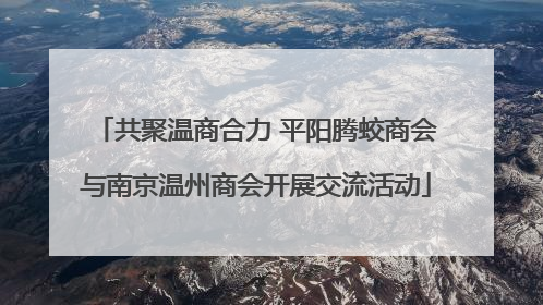 共聚温商合力 平阳腾蛟商会与南京温州商会开展交流活动