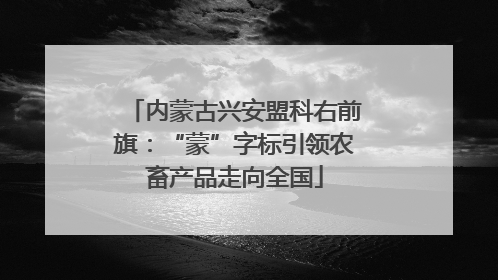 内蒙古兴安盟科右前旗：“蒙”字标引领农畜产品走向全国
