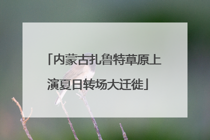 内蒙古扎鲁特草原上演夏日转场大迁徙