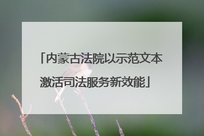 内蒙古法院以示范文本激活司法服务新效能