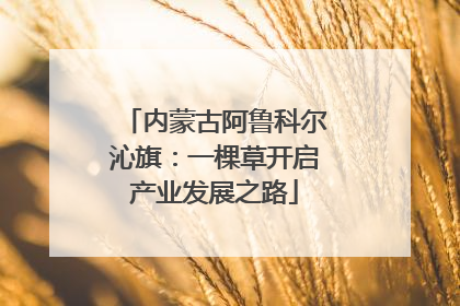 内蒙古阿鲁科尔沁旗：一棵草开启产业发展之路