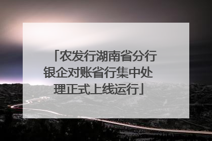 农发行湖南省分行银企对账省行集中处理正式上线运行